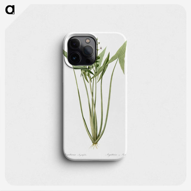 2-82_The-Lilies_phone