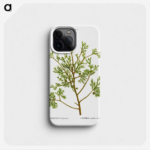 2-82_Treatise-on-Trees-and-Shrubs_phone