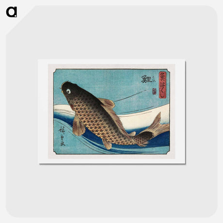 アートポストカード-Carp
 - 歌川 広重 Postcard.