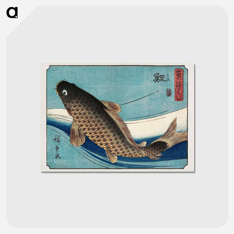 アートポストカード-Carp
 - 歌川 広重 Postcard.