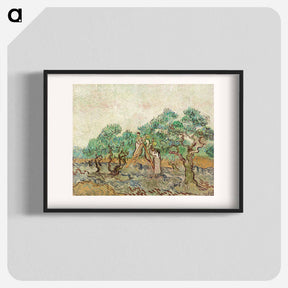 アートポスター-The Olive Orchard - フィンセント ファン ゴッホ Poster.