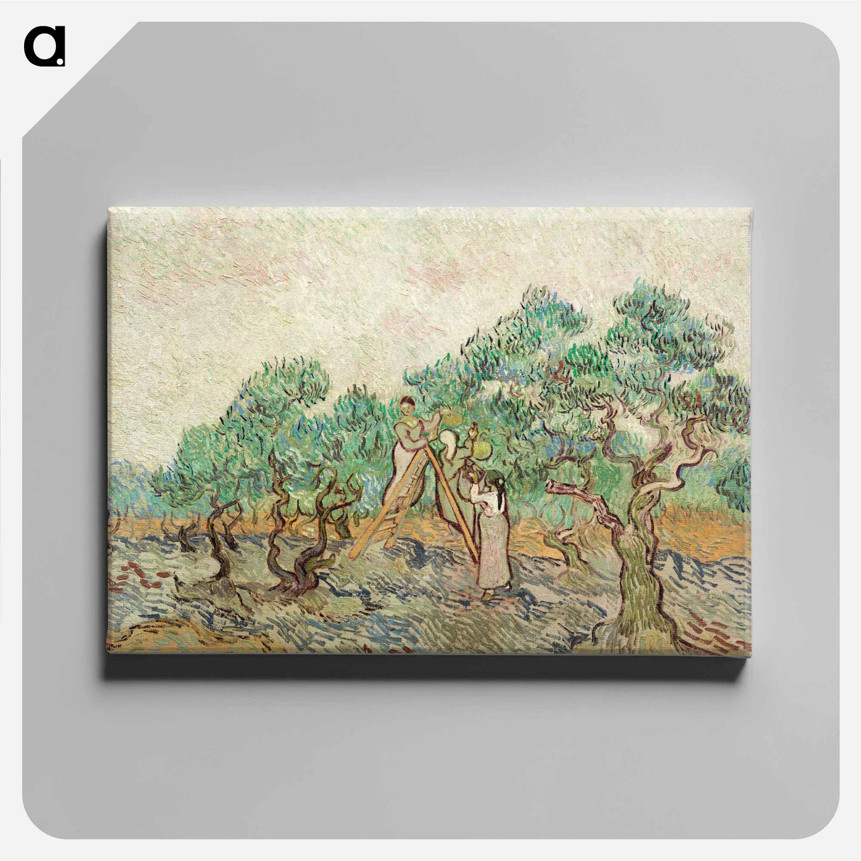 The Olive Orchard - Vincent van Gogh Canvas.