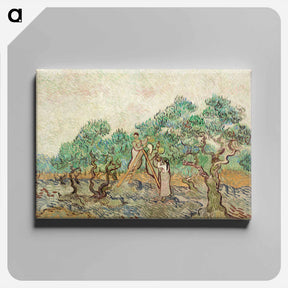 アートパネル-The Olive Orchard - フィンセント ファン ゴッホ Canvas.