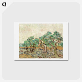 アートポストカード-The Olive Orchard - フィンセント ファン ゴッホ Postcard.
