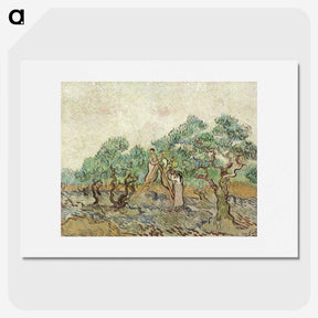 2-82_Vincent-van-Gogh_picture