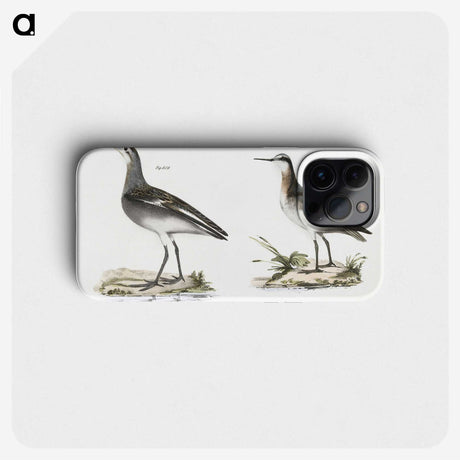 2-82_Zoology-of-New-York_phone
