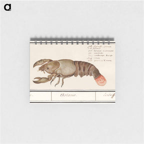 アートメモ帳-Lobster - アンセルムス ボエティウス デ ブート Memo.