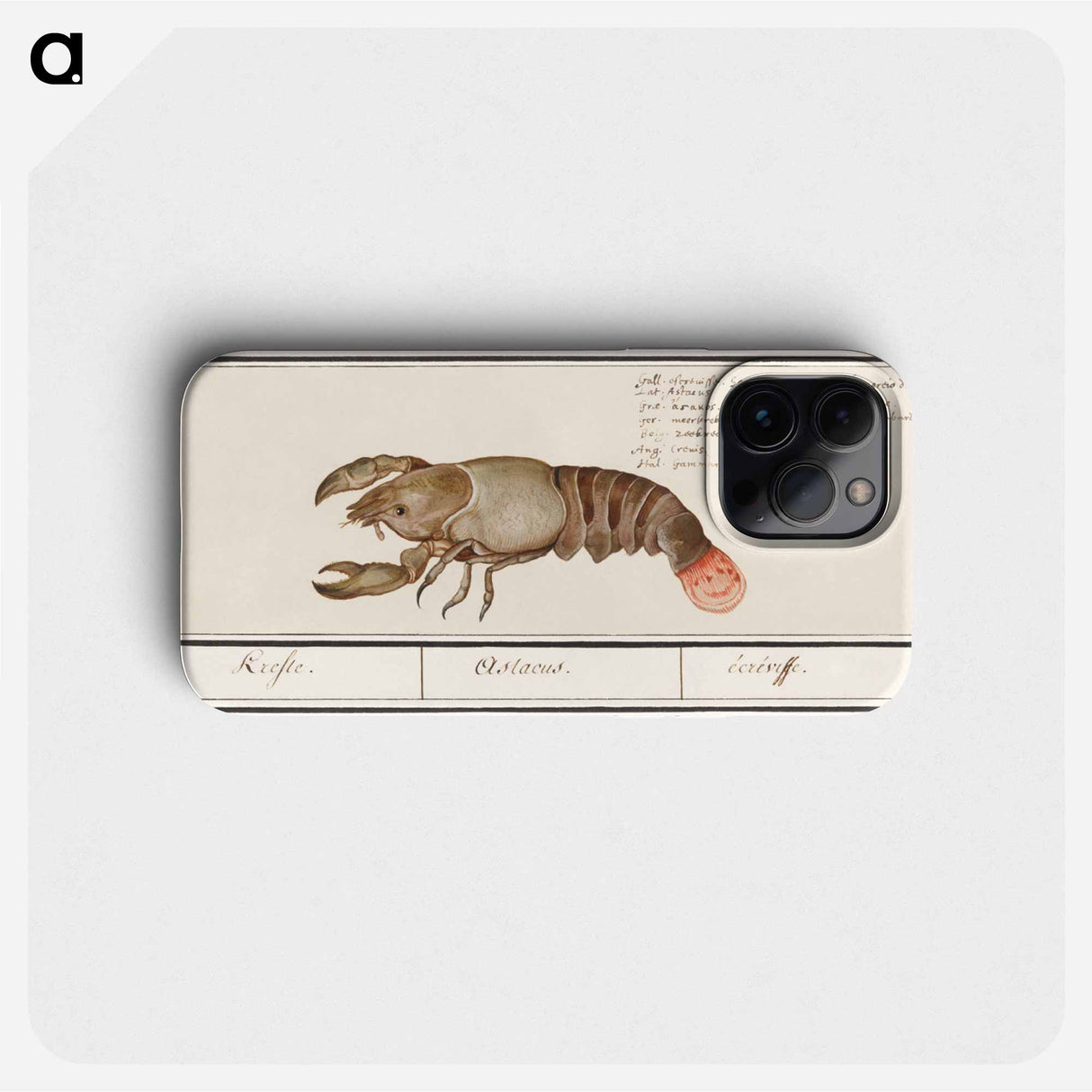 Lobster - アンセルムス ボエティウス デ ブート Phone Case.