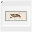 2-83_Anselmus-Boetius-de-Boodt_picture