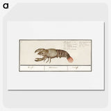 2-83_Anselmus-Boetius-de-Boodt_picture
