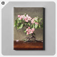 アートパネル-Apple Blossoms
 - クリーブランド美術館 Canvas.