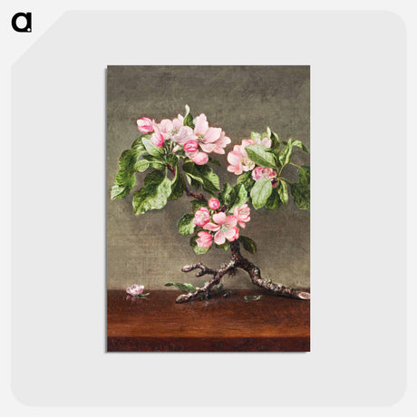 アートポストカード-Apple Blossoms
 - クリーブランド美術館 Postcard.