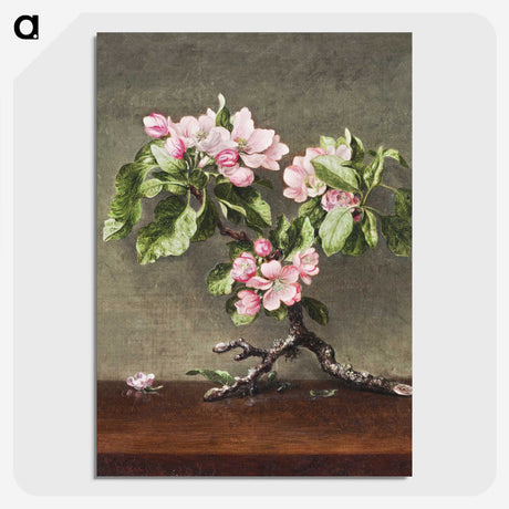 2-83_Cleveland-Museum-of-Art_picture-crop