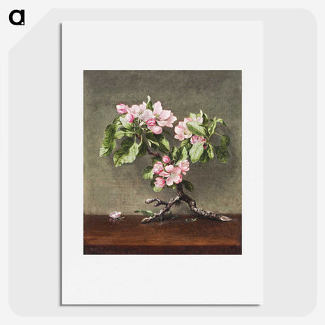 2-83_Cleveland-Museum-of-Art_picture
