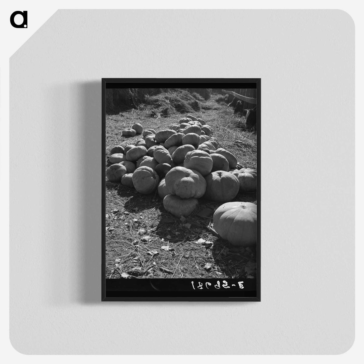 2-83_Dorothea-Lange_blk-crop