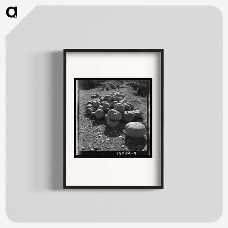 2-83_Dorothea-Lange_blk