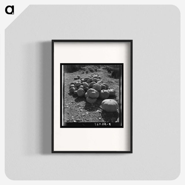 2-83_Dorothea-Lange_blk