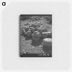 アートメモ帳-Untitled photo - ドロテア ラング Memo.