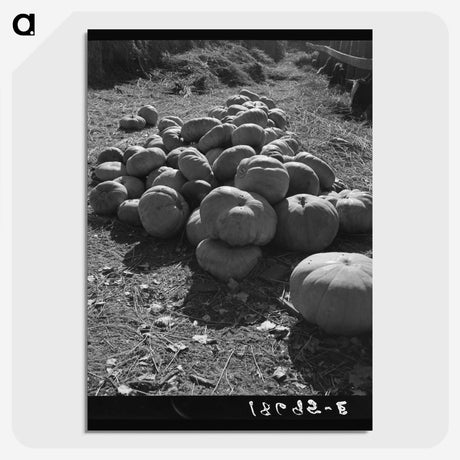 2-83_Dorothea-Lange_picture-crop