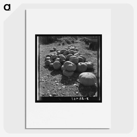2-83_Dorothea-Lange_picture