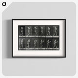 2-83_Eadweard-Muybridge_blk