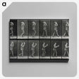 2-83_Eadweard-Muybridge_canvas