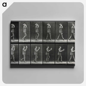 2-83_Eadweard-Muybridge_canvas