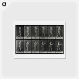 アートポストカード-Man Removing His Hat
 - エドワード マイブリッジ Postcard.