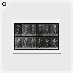 アートポストカード-Man Removing His Hat
 - エドワード マイブリッジ Postcard.