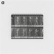 2-83_Eadweard-Muybridge_memo