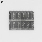 2-83_Eadweard-Muybridge_memo