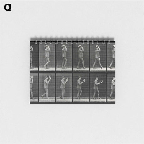 2-83_Eadweard-Muybridge_memo