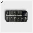 2-83_Eadweard-Muybridge_phone