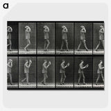 2-83_Eadweard-Muybridge_picture-crop