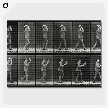 2-83_Eadweard-Muybridge_picture-crop
