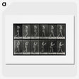 2-83_Eadweard-Muybridge_picture