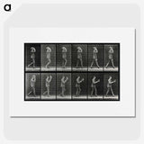 2-83_Eadweard-Muybridge_picture