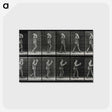2-83_Eadweard-Muybridge_postcard