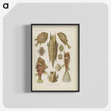2-83_Ernst-Haeckel_blk-crop