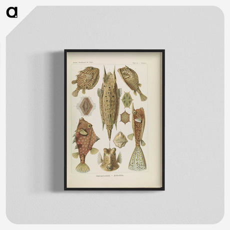 2-83_Ernst-Haeckel_blk-crop