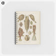 2-83_Ernst-Haeckel_memo
