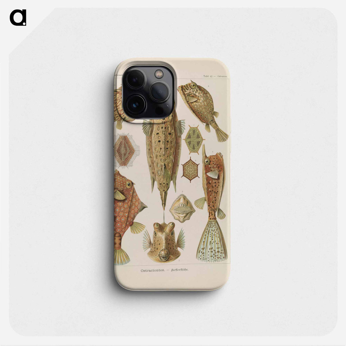Marine life illustration - エルンスト ヘッケル Phone Case.