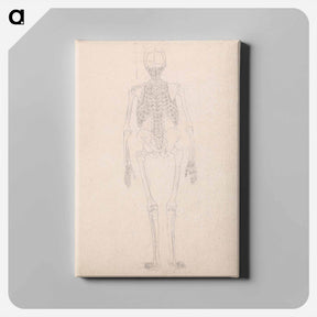 アートパネル-Human Skeleton, Posterior View
 - ジョージ スタッブス Canvas.