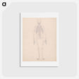 アートポストカード-Human Skeleton, Posterior View
 - ジョージ スタッブス Postcard.