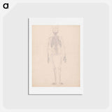 アートポストカード-Human Skeleton, Posterior View
 - ジョージ スタッブス Postcard.