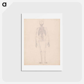 アートポストカード-Human Skeleton, Posterior View
 - ジョージ スタッブス Postcard.