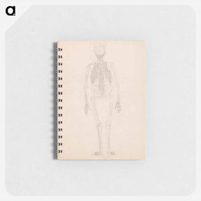 アートメモ帳-Human Skeleton, Posterior View
 - ジョージ スタッブス Memo.