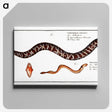 2-83_Ichtyologie-ou-Histoire-naturelle_canvas