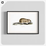 2-83_Indian-Zoology_blk
