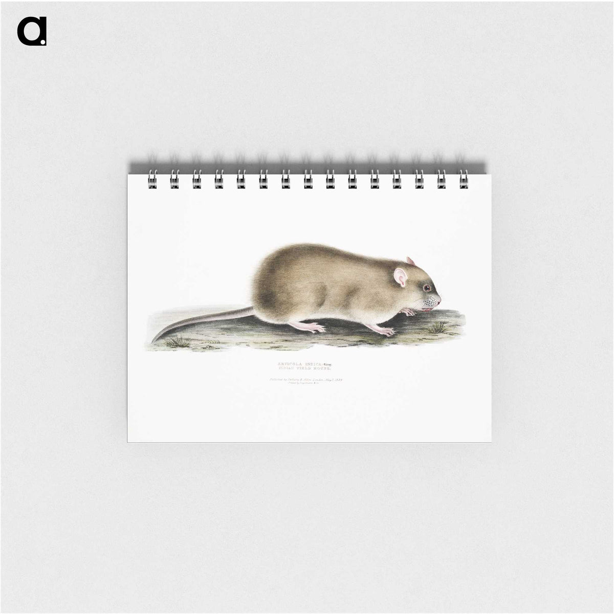 2-83_Indian-Zoology_memo